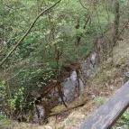 Paprikás-patak Solymár - Egyéb