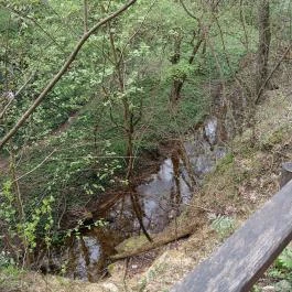 Paprikás-patak, Solymár - Egyéb