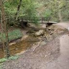 Paprikás-patak Solymár - Egyéb