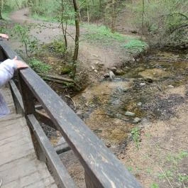 Paprikás-patak, Solymár - Egyéb