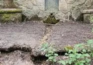 Rózsika-forrás Solymár