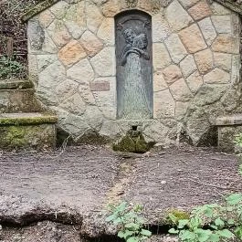 Rózsika-forrás Solymár - Egyéb