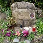 Paprikás-patak Solymár - Egyéb