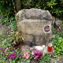 Paprikás-patak, Solymár - Egyéb