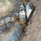 Paprikás-patak Solymár - Egyéb