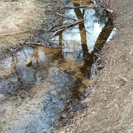 Paprikás-patak, Solymár - Egyéb