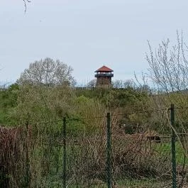 Solymári vár, Solymár - Egyéb