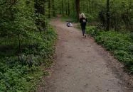 Jegenye-völgy Solymár