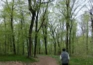 Jegenye-völgy Solymár