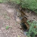 Paprikás-patak Solymár - Egyéb