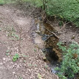 Paprikás-patak, Solymár - Egyéb