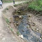 Paprikás-patak Solymár - Egyéb