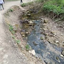 Paprikás-patak, Solymár - Egyéb