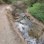 Paprikás-patak Solymár - Egyéb