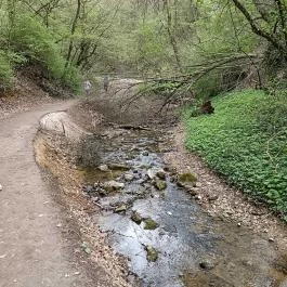 Paprikás-patak, Solymár - Egyéb