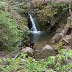 Paprikás-patak Solymár - Egyéb