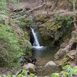 Paprikás-patak, Solymár - Egyéb