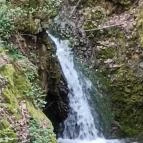 Paprikás-patak Solymár - Egyéb