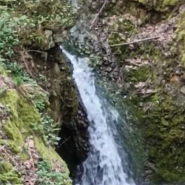 Paprikás-patak, Solymár - Egyéb