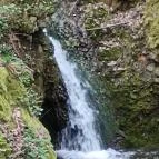 Paprikás-patak Solymár - Egyéb