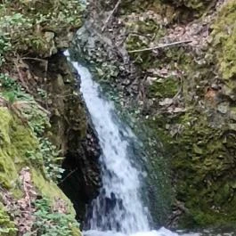 Paprikás-patak, Solymár - Egyéb