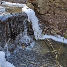 Paprikás-patak, Solymár - Egyéb