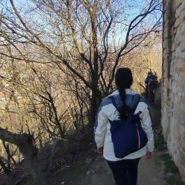 Solymári vár, Solymár - Egyéb