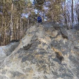 Paprikás-patak, Solymár - Egyéb