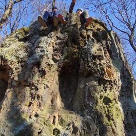 Paprikás-patak, Solymár - Egyéb