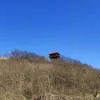 Paprikás-patak Solymár - Egyéb