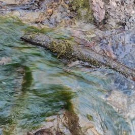 Paprikás-patak, Solymár - Egyéb