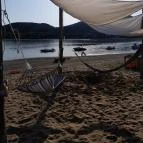 Partifecske Pilismarót - Egyéb