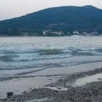 Partifecske Pilismarót - Egyéb