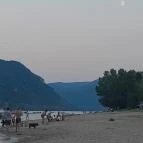 Partifecske Pilismarót - Egyéb