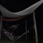 Partifecske Pilismarót - Egyéb