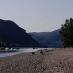 Partifecske Pilismarót - Egyéb