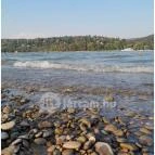 Partifecske Pilismarót - Egyéb