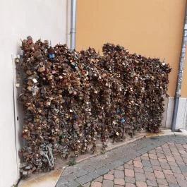 Pécsi Széchenyi tér, Pécs - Egyéb