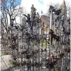 Pécsi Széchenyi tér Pécs - Egyéb