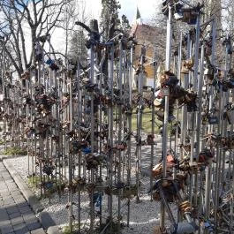 Pécsi Széchenyi tér, Pécs - Egyéb