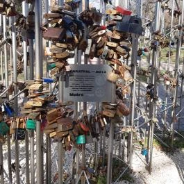 Pécsi Széchenyi tér, Pécs - Egyéb