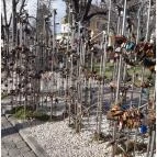 Pécsi Széchenyi tér Pécs - Egyéb