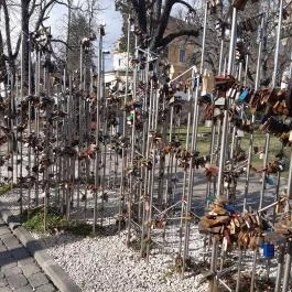 Pécsi Széchenyi tér, Pécs - Egyéb