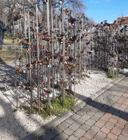 Pécsi Széchenyi tér