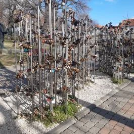 Pécsi Széchenyi tér, Pécs - Egyéb