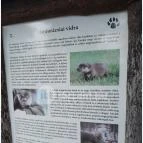 Petesmalmi Vidrapark Lábod - Egyéb