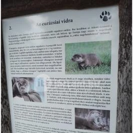 Petesmalmi Vidrapark, Lábod - Egyéb