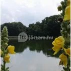 Petesmalmi Vidrapark Lábod - Egyéb