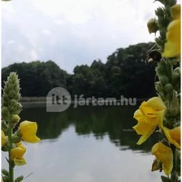 Petesmalmi Vidrapark, Lábod - Egyéb