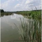 Petesmalmi Vidrapark Lábod - Egyéb